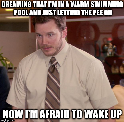 Afraid To Ask Andy Meme | DREAMING THAT I'M IN A WARM SWIMMING POOL AND JUST LETTING THE PEE GO; NOW I'M AFRAID TO WAKE UP | image tagged in memes,afraid to ask andy | made w/ Imgflip meme maker