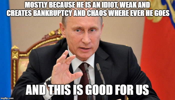 Putin perhaps | MOSTLY BECAUSE HE IS AN IDIOT, WEAK AND CREATES BANKRUPTCY AND CHAOS WHERE EVER HE GOES AND THIS IS GOOD FOR US | image tagged in putin perhaps | made w/ Imgflip meme maker