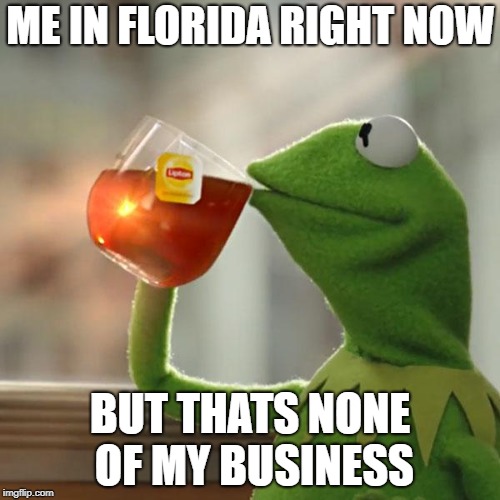 But That's None Of My Business Meme | ME IN FLORIDA RIGHT NOW; BUT THATS NONE OF MY BUSINESS | image tagged in memes,but thats none of my business,kermit the frog | made w/ Imgflip meme maker
