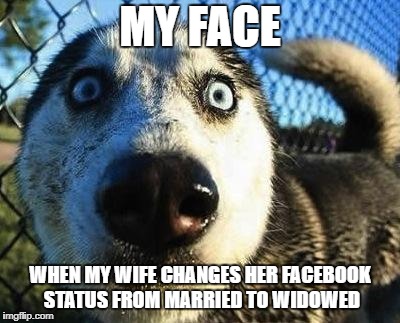 bad news | MY FACE; WHEN MY WIFE CHANGES HER FACEBOOK STATUS FROM MARRIED TO WIDOWED | image tagged in scared dog,facebook problems | made w/ Imgflip meme maker