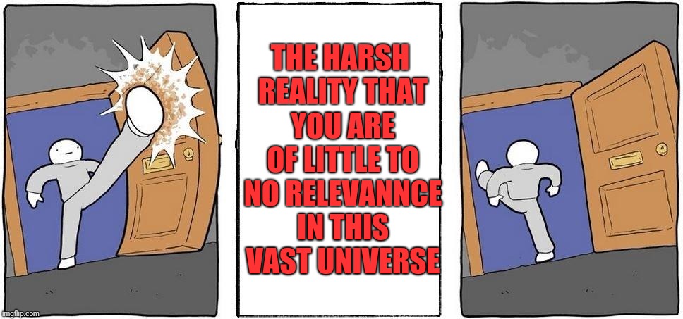 Jusy kidding, No one is ever useless. If you think you are, than try to change that uselessness! | THE HARSH REALITY THAT YOU ARE OF LITTLE TO NO RELEVANNCE IN THIS VAST UNIVERSE | image tagged in not taking that,memes | made w/ Imgflip meme maker