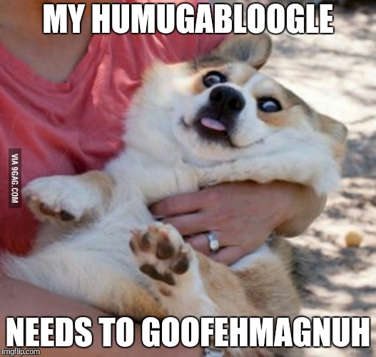 Derp Dog | MY HUMUGABLOOGLE; NEEDS TO GOOFEHMAGNUH | image tagged in derp dog | made w/ Imgflip meme maker