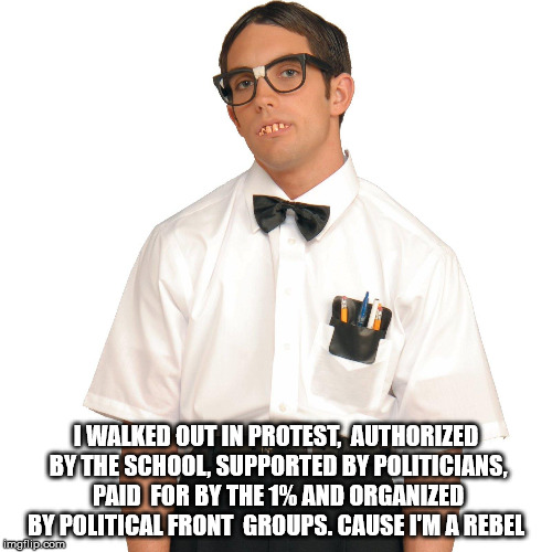 Dork | I WALKED OUT IN PROTEST,  AUTHORIZED BY THE SCHOOL, SUPPORTED BY POLITICIANS, PAID  FOR BY THE 1% AND ORGANIZED BY POLITICAL FRONT  GROUPS. CAUSE I'M A REBEL | image tagged in dork | made w/ Imgflip meme maker