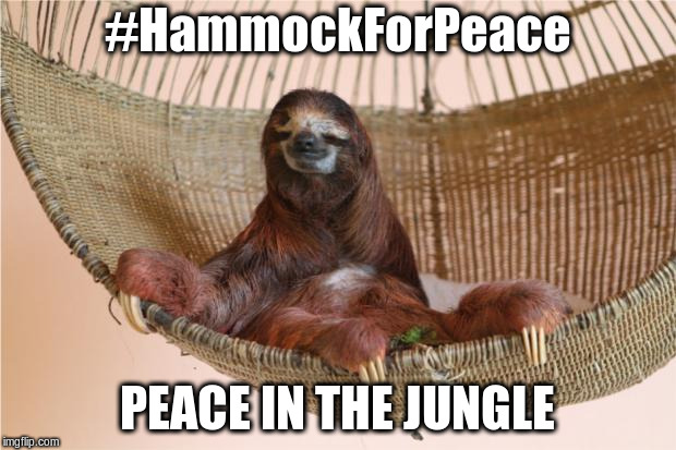 Sloth Hammock | #HammockForPeace; PEACE IN THE JUNGLE | image tagged in sloth hammock | made w/ Imgflip meme maker
