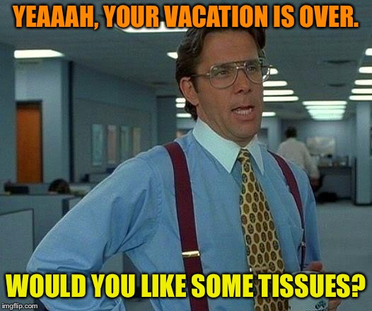 That Would Be Great Meme | YEAAAH, YOUR VACATION IS OVER. WOULD YOU LIKE SOME TISSUES? | image tagged in memes,that would be great | made w/ Imgflip meme maker