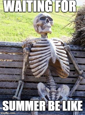 Waiting Skeleton Meme | WAITING FOR; SUMMER BE LIKE | image tagged in memes,waiting skeleton | made w/ Imgflip meme maker