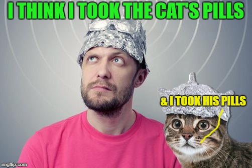 I THINK I TOOK THE CAT'S PILLS & I TOOK HIS PILLS | made w/ Imgflip meme maker