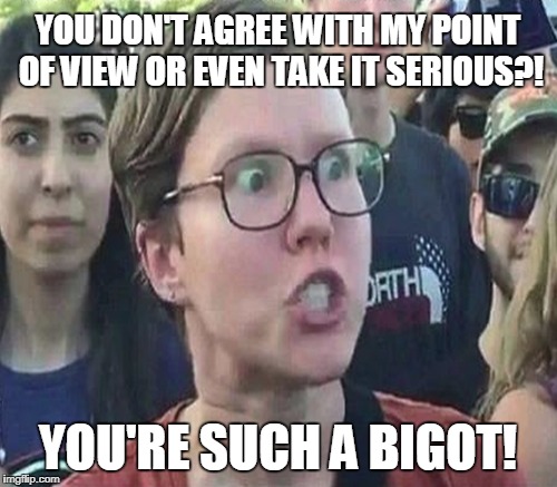 YOU DON'T AGREE WITH MY POINT OF VIEW OR EVEN TAKE IT SERIOUS?! YOU'RE SUCH A BIGOT! | made w/ Imgflip meme maker