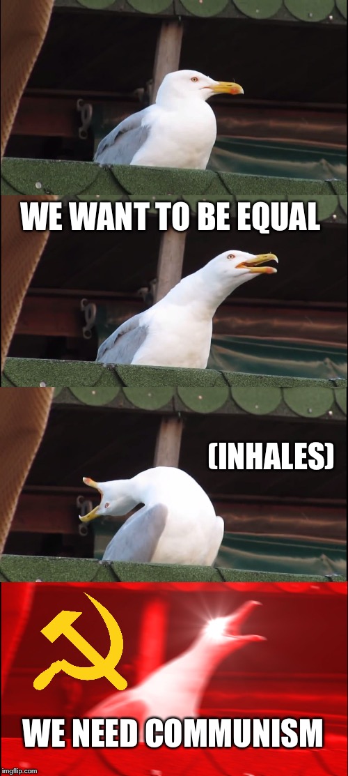 Inhaling Seagull | WE WANT TO BE EQUAL; (INHALES); WE NEED COMMUNISM | image tagged in memes,inhaling seagull | made w/ Imgflip meme maker