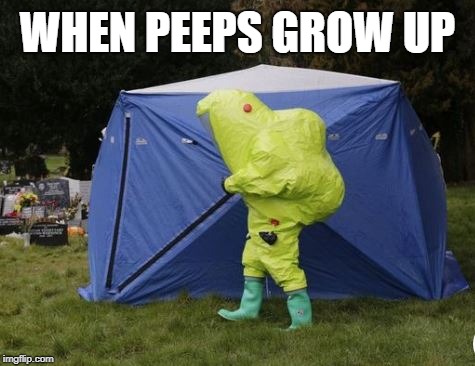 When Peeps Grow Up | WHEN PEEPS GROW UP | image tagged in peeps,easter,marshmallow | made w/ Imgflip meme maker