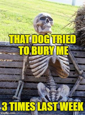 Waiting Skeleton Meme | THAT DOG TRIED TO BURY ME 3 TIMES LAST WEEK | image tagged in memes,waiting skeleton | made w/ Imgflip meme maker