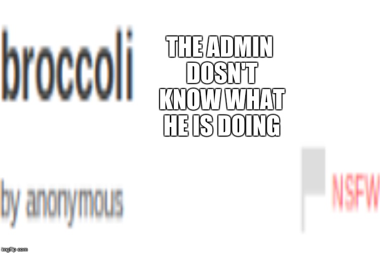 THE ADMIN DOSN'T KNOW WHAT HE IS DOING | made w/ Imgflip meme maker