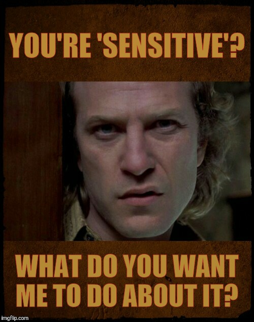 Buffalo Bill, Are you serious?,,, | YOU'RE 'SENSITIVE'? WHAT DO YOU WANT ME TO DO ABOUT IT? | image tagged in buffalo bill are you serious?   | made w/ Imgflip meme maker