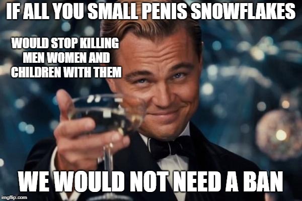Leonardo Dicaprio Cheers Meme | IF ALL YOU SMALL P**IS SNOWFLAKES WE WOULD NOT NEED A BAN WOULD STOP KILLING MEN WOMEN AND CHILDREN WITH THEM | image tagged in memes,leonardo dicaprio cheers | made w/ Imgflip meme maker