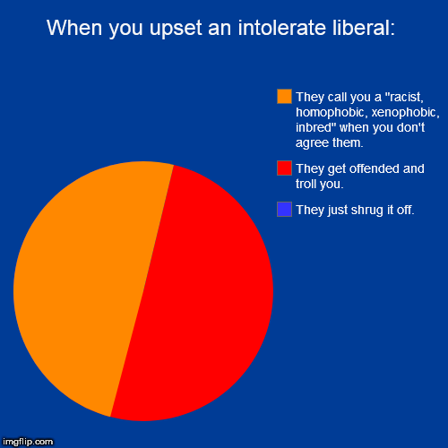 When you upset an intolerate liberal: | They just shrug it off., They get offended and troll you., They call you a "racist, homophobic, xeno | image tagged in funny,pie charts | made w/ Imgflip chart maker