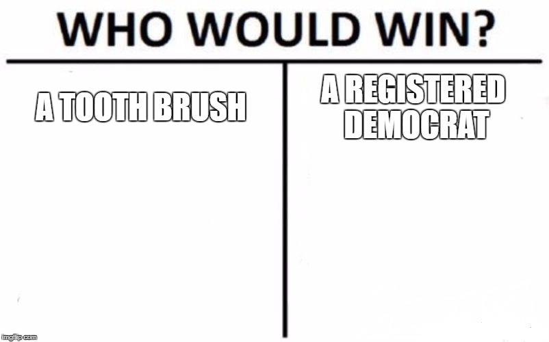 Who Would Win? Meme | A TOOTH BRUSH; A REGISTERED DEMOCRAT | image tagged in memes,who would win | made w/ Imgflip meme maker