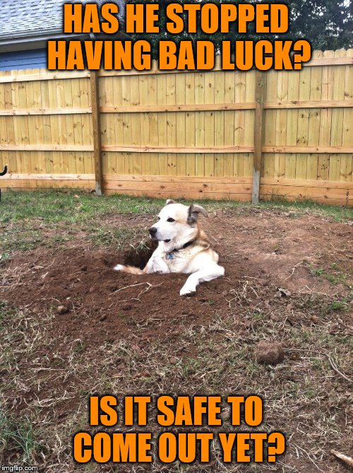 HAS HE STOPPED HAVING BAD LUCK? IS IT SAFE TO COME OUT YET? | made w/ Imgflip meme maker