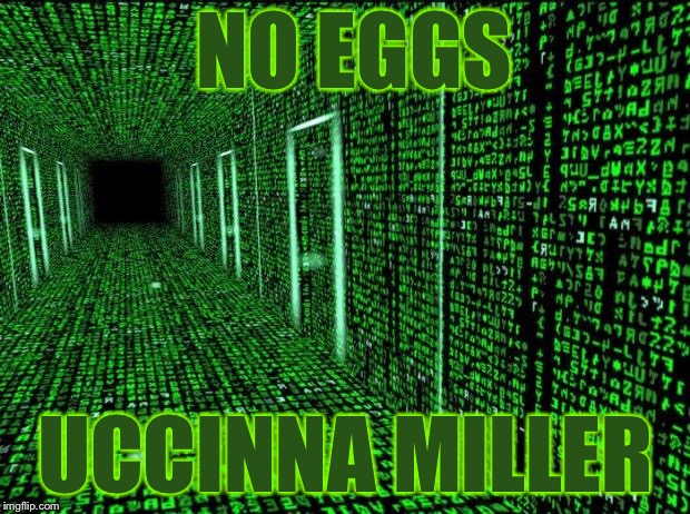 Matrix hallway code | NO EGGS; UCCINNA MILLER | image tagged in matrix hallway code | made w/ Imgflip meme maker