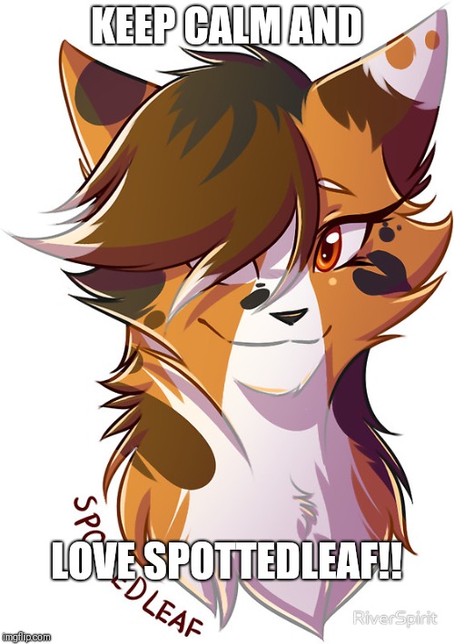 warrior cats Spottedleaf | KEEP CALM AND; LOVE SPOTTEDLEAF!! | image tagged in warrior cats spottedleaf | made w/ Imgflip meme maker