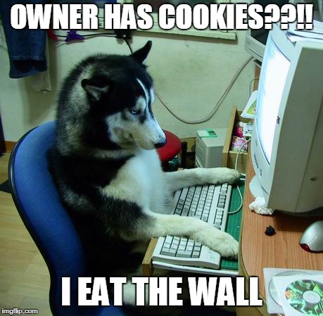 I Have No Idea What I Am Doing | OWNER HAS COOKIES??!! I EAT THE WALL | image tagged in memes,i have no idea what i am doing | made w/ Imgflip meme maker
