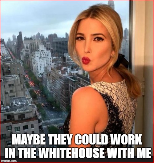 MAYBE THEY COULD WORK IN THE WHITEHOUSE WITH ME | made w/ Imgflip meme maker