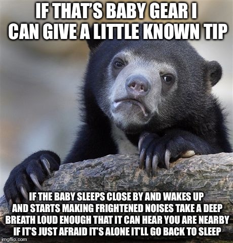 Confession Bear Meme | IF THAT’S BABY GEAR I CAN GIVE A LITTLE KNOWN TIP IF THE BABY SLEEPS CLOSE BY AND WAKES UP AND STARTS MAKING FRIGHTENED NOISES TAKE A DEEP B | image tagged in memes,confession bear | made w/ Imgflip meme maker