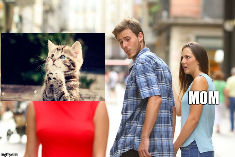 Distracted Boyfriend Meme | MOM | image tagged in memes,distracted boyfriend | made w/ Imgflip meme maker