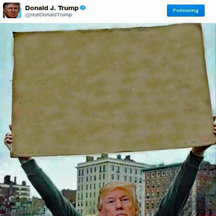 High Quality Donald Trump Protest Blank Meme Template
