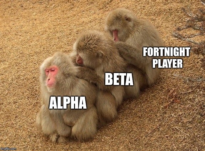 Is this funny to someone? | FORTNIGHT PLAYER; BETA; ALPHA | image tagged in fortnite | made w/ Imgflip meme maker