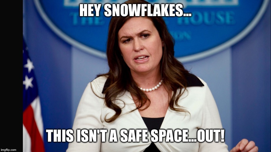 No Safe Space | HEY SNOWFLAKES... THIS ISN'T A SAFE SPACE...OUT! | image tagged in sarah sanders | made w/ Imgflip meme maker