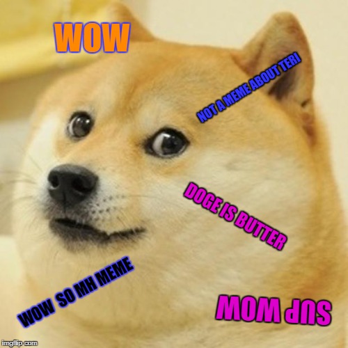 Doge Meme | WOW; NOT A MEME ABOUT TERI; DOGE IS BUTTER; WOW  SO MH MEME; SUP WOW | image tagged in memes,doge | made w/ Imgflip meme maker