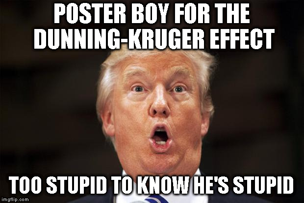 POSTER BOY FOR THE DUNNING-KRUGER EFFECT; TOO STUPID TO KNOW HE'S STUPID | image tagged in dunning-kruger poster boy | made w/ Imgflip meme maker