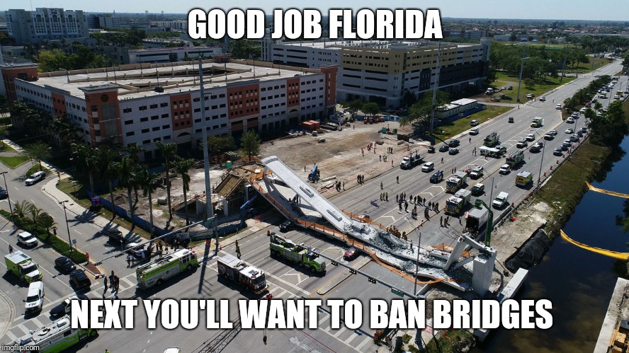 Florida Fails | GOOD JOB FLORIDA; NEXT YOU'LL WANT TO BAN BRIDGES | image tagged in florida,bridge,collapse,school shooting,second amendment,2nd amendment | made w/ Imgflip meme maker