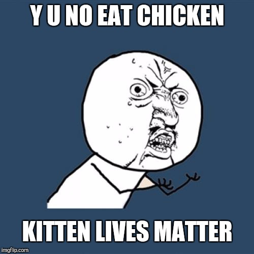 Y U No Meme | Y U NO EAT CHICKEN KITTEN LIVES MATTER | image tagged in memes,y u no | made w/ Imgflip meme maker