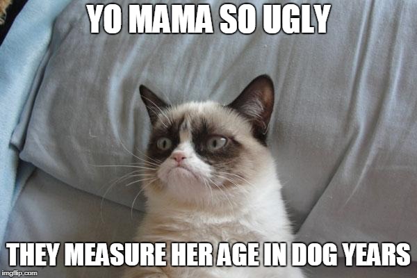 Grumpy Cat Bed | YO MAMA SO UGLY; THEY MEASURE HER AGE IN DOG YEARS | image tagged in memes,grumpy cat bed,grumpy cat | made w/ Imgflip meme maker