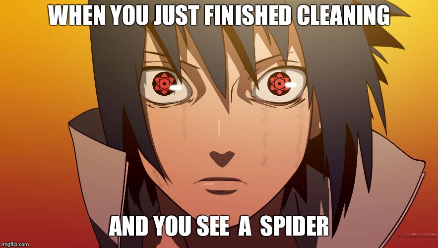 Sasuke meme | WHEN YOU JUST FINISHED CLEANING; AND YOU SEE  A  SPIDER | image tagged in sasuke meme | made w/ Imgflip meme maker