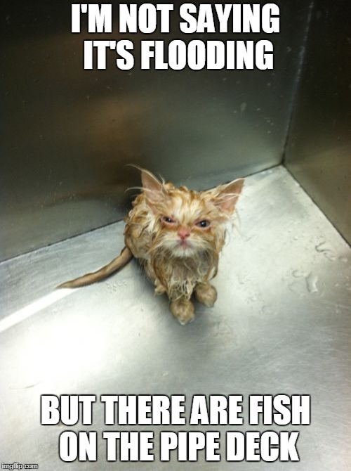 Kill You Cat | I'M NOT SAYING IT'S FLOODING; BUT THERE ARE FISH ON THE PIPE DECK | image tagged in memes,kill you cat | made w/ Imgflip meme maker