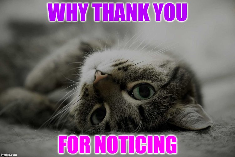 WHY THANK YOU FOR NOTICING | made w/ Imgflip meme maker