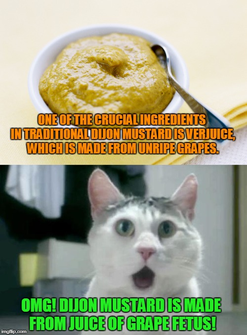 ZOMG! It is made of .... | ONE OF THE CRUCIAL INGREDIENTS IN TRADITIONAL DIJON MUSTARD IS VERJUICE, WHICH IS MADE FROM UNRIPE GRAPES. OMG! DIJON MUSTARD IS MADE FROM JUICE OF GRAPE FETUS! | image tagged in funny,dijion,grape | made w/ Imgflip meme maker