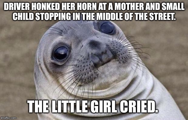 Awkward Moment Sealion Meme | DRIVER HONKED HER HORN AT A MOTHER AND SMALL CHILD STOPPING IN THE MIDDLE OF THE STREET. THE LITTLE GIRL CRIED. | image tagged in memes,awkward moment sealion,AdviceAnimals | made w/ Imgflip meme maker