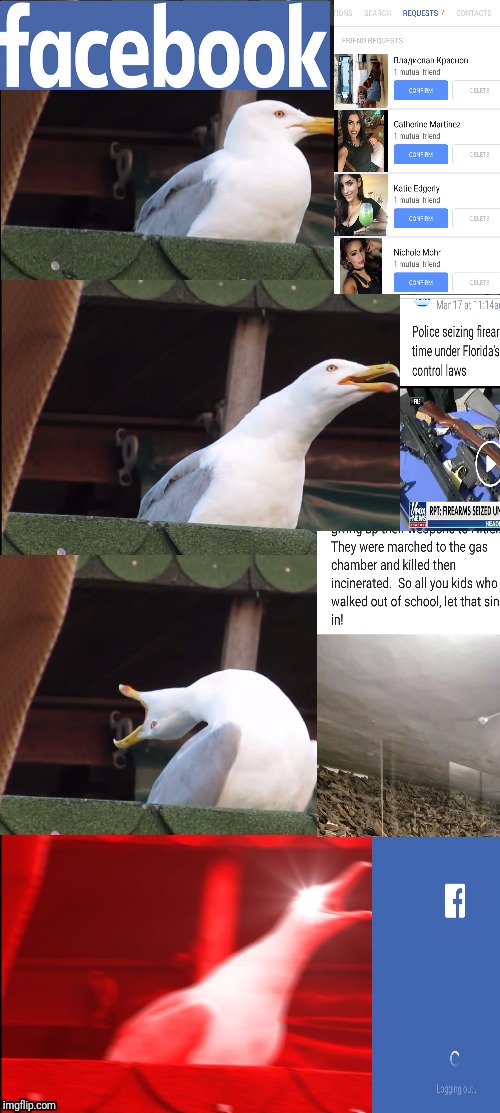 Inhaling Seagull | image tagged in memes,inhaling seagull | made w/ Imgflip meme maker