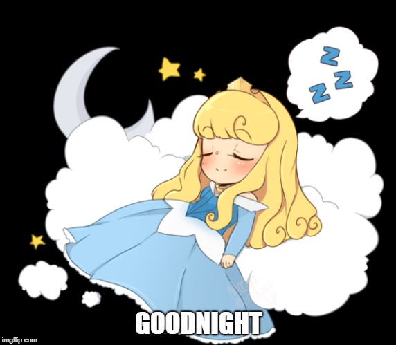 Sleeping Beauty | GOODNIGHT | image tagged in good night,princess | made w/ Imgflip meme maker