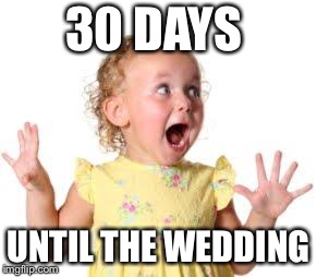 excited much | 30 DAYS; UNTIL THE WEDDING | image tagged in excited much | made w/ Imgflip meme maker