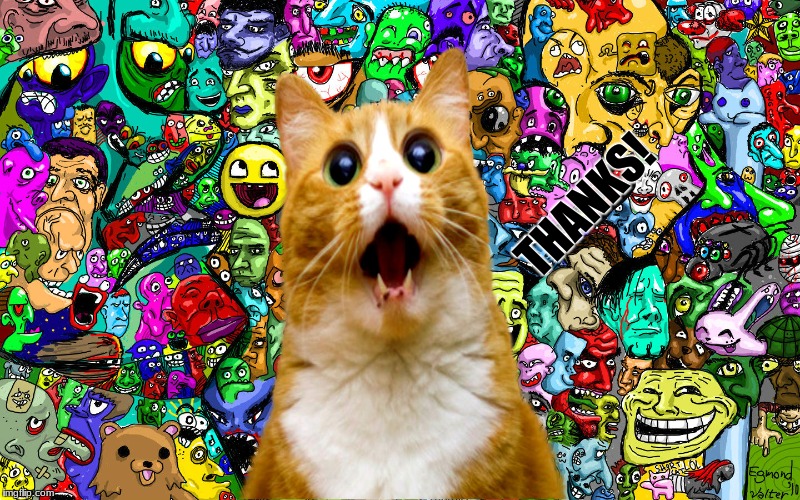 Shocked kitty | THANKS! | image tagged in shocked kitty | made w/ Imgflip meme maker