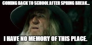 Gandalf | COMING BACK TO SCHOOL AFTER SPRING BREAK... I HAVE NO MEMORY OF THIS PLACE. | image tagged in gandalf | made w/ Imgflip meme maker