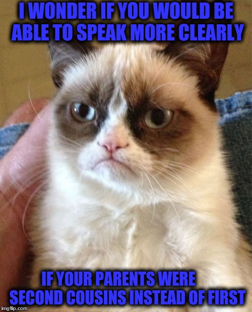 Grumpy Cat Meme | I WONDER IF YOU WOULD BE ABLE TO SPEAK MORE CLEARLY; IF YOUR PARENTS WERE      SECOND COUSINS INSTEAD OF FIRST | image tagged in memes,grumpy cat | made w/ Imgflip meme maker