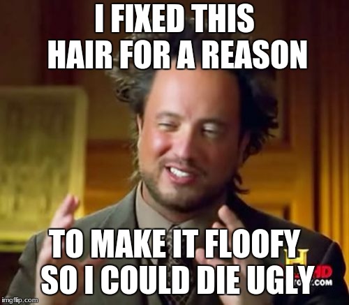 Did this hair  | I FIXED THIS HAIR FOR A REASON; TO MAKE IT FLOOFY SO I COULD DIE UGLY | image tagged in memes,ancient aliens | made w/ Imgflip meme maker