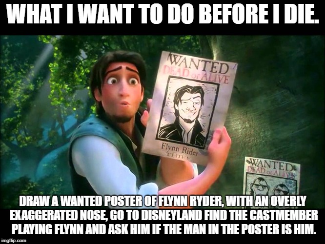 tangled | WHAT I WANT TO DO BEFORE I DIE. DRAW A WANTED POSTER OF FLYNN RYDER, WITH AN OVERLY EXAGGERATED NOSE, GO TO DISNEYLAND FIND THE CASTMEMBER PLAYING FLYNN AND ASK HIM IF THE MAN IN THE POSTER IS HIM. | image tagged in disney | made w/ Imgflip meme maker