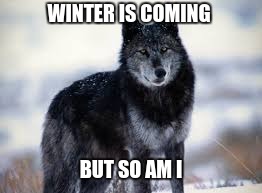 the wolf | WINTER IS COMING; BUT SO AM I | image tagged in awesome | made w/ Imgflip meme maker