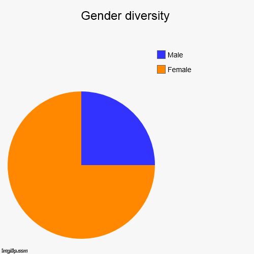 Gender diversity | Female, Male | image tagged in funny,pie charts | made w/ Imgflip chart maker